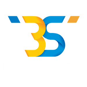 3S Manager logo